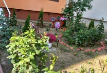 Medic Bun Alexandria Medic primar Obstetrică Ginecologie Doctor în Științe Medicale Dr. Cristi Caraveteanu